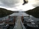 ./images/calvert/dock/20160614/dock20160614_120501.jpg