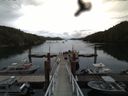 ./images/calvert/dock/20160614/dock20160614_130502.jpg