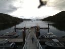 ./images/calvert/dock/20160614/dock20160614_131002.jpg