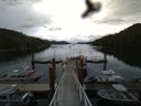 ./images/calvert/dock/20160614/dock20160614_131504.jpg