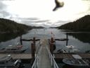./images/calvert/dock/20160614/dock20160614_134503.jpg