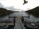 ./images/calvert/dock/20160614/dock20160614_135004.jpg