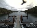 ./images/calvert/dock/20160614/dock20160614_141504.jpg