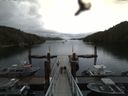 ./images/calvert/dock/20160614/dock20160614_143504.jpg