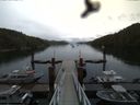 ./images/calvert/dock/20160614/dock20160614_164504.jpg