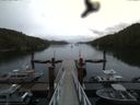 ./images/calvert/dock/20160614/dock20160614_171504.jpg