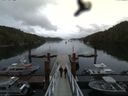 ./images/calvert/dock/20160614/dock20160614_172501.jpg