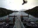 ./images/calvert/dock/20160614/dock20160614_175502.jpg