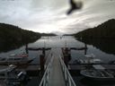 ./images/calvert/dock/20160614/dock20160614_191003.jpg
