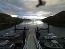 ./images/calvert/dock/20160615/dock20160615_061002.jpg