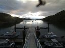 ./images/calvert/dock/20160615/dock20160615_061504.jpg