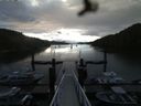 ./images/calvert/dock/20160615/dock20160615_062004.jpg