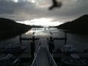 ./images/calvert/dock/20160615/dock20160615_062504.jpg