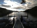 ./images/calvert/dock/20160615/dock20160615_072003.jpg