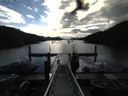 ./images/calvert/dock/20160615/dock20160615_082502.jpg