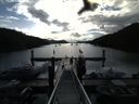 ./images/calvert/dock/20160615/dock20160615_083502.jpg