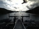 ./images/calvert/dock/20160615/dock20160615_084503.jpg