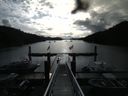 ./images/calvert/dock/20160615/dock20160615_085003.jpg
