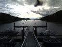 ./images/calvert/dock/20160615/dock20160615_090004.jpg