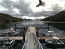 ./images/calvert/dock/20160615/dock20160615_114003.jpg