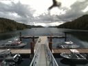 ./images/calvert/dock/20160615/dock20160615_114503.jpg