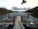 ./images/calvert/dock/20160615/dock20160615_134004.jpg