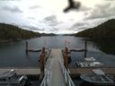 ./images/calvert/dock/20160615/dock20160615_174504.jpg
