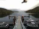 ./images/calvert/dock/20160616/dock20160616_201501.jpg