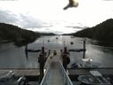 ./images/calvert/dock/20160617/dock20160617_081003.jpg