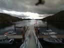./images/calvert/dock/20160617/dock20160617_115501.jpg