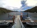 ./images/calvert/dock/20160618/dock20160618_135502.jpg