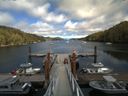 ./images/calvert/dock/20160618/dock20160618_162004.jpg
