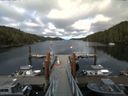 ./images/calvert/dock/20160618/dock20160618_190504.jpg