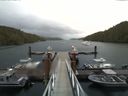 ./images/calvert/dock/20160621/dock20160621_141504.jpg