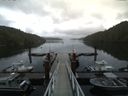 ./images/calvert/dock/20160622/dock20160622_132004.jpg