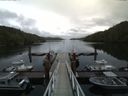 ./images/calvert/dock/20160622/dock20160622_133504.jpg