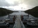 ./images/calvert/dock/20160622/dock20160622_134001.jpg