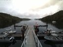 ./images/calvert/dock/20160622/dock20160622_155504.jpg