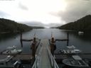 ./images/calvert/dock/20160623/dock20160623_123004.jpg