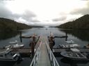 ./images/calvert/dock/20160623/dock20160623_175504.jpg