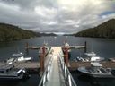 ./images/calvert/dock/20160624/dock20160624_154004.jpg
