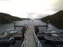 ./images/calvert/dock/20160625/dock20160625_055004.jpg