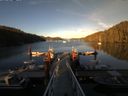 ./images/calvert/dock/20160626/dock20160626_202503.jpg