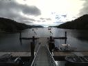 ./images/calvert/dock/20160627/dock20160627_095004.jpg