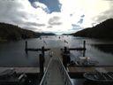 ./images/calvert/dock/20160627/dock20160627_095504.jpg