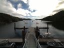 ./images/calvert/dock/20160627/dock20160627_103001.jpg