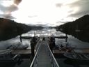 ./images/calvert/dock/20160628/dock20160628_080502.jpg