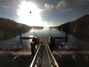 ./images/calvert/dock/20160629/dock20160629_072504.jpg
