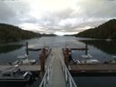 ./images/calvert/dock/20160629/dock20160629_184502.jpg