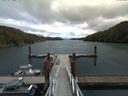 ./images/calvert/dock/20160630/dock20160630_140503.jpg